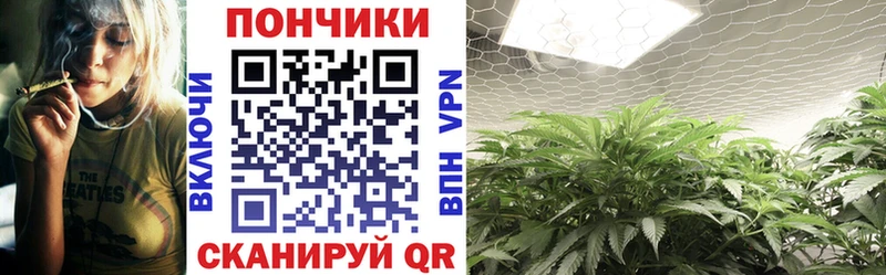 Бошки Шишки планчик  купить   Ковдор 