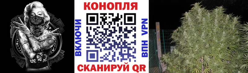 Конопля AK-47 Ковдор
